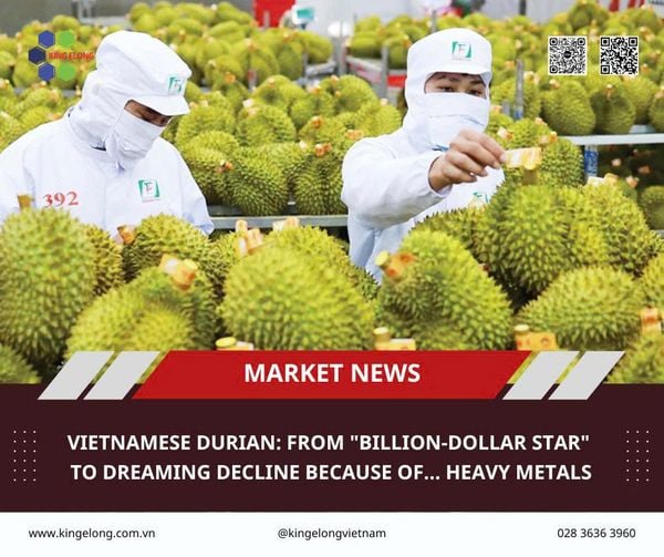 Vietnamese Durian: From Billion-Dollar Star To Sharp Decline Due To Heavy Metals