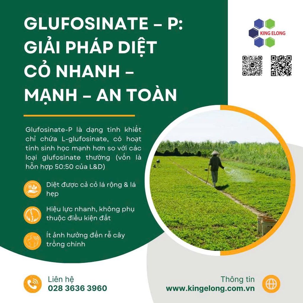 [Chuyên Đề Thuốc Diệt Cỏ] Glufosinate – P: Giải Pháp Diệt Cỏ Nhanh – Mạnh – An Toàn