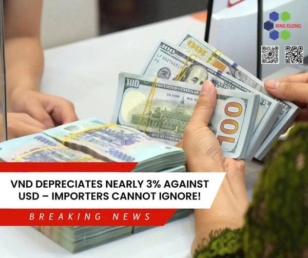 [Exchange Rate Update] Vnd Depreciates Nearly 3% Against Usd – Importers, Take Notice!