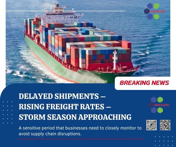 July Logistics Update – What Should Businesses Do?