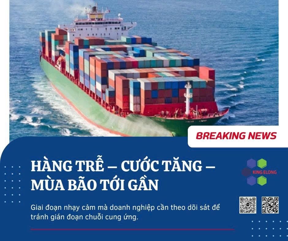 Cập Nhật Logistics Tháng 7 – Doanh Nghiệp Nên Làm Gì?