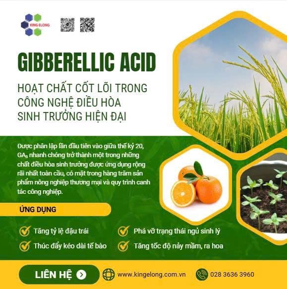 Ga₃ – Hoạt Chất Cốt Lõi Trong Công Nghệ Điều Hòa Sinh Trưởng Hiện Đại (Gibberellic Acid – Ga₃ ≥ 90%)