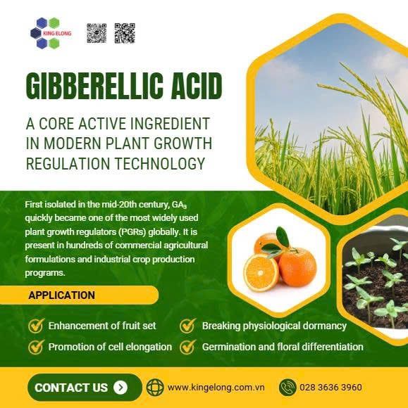 Ga₃ – A Core Active Ingredient In Modern Plant Growth Regulation Technology (Gibberellic Acid – Ga₃ ≥ 90%)