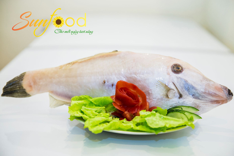 Cá bò da, được cung cấp bởi cửa hàng thực phẩm sạch Sunfood, sản phẩm đảm bảo an toàn chất lượng và được bảo hiểm 100%