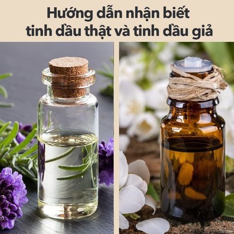 Hướng dẫn nhận biết tinh dầu thật và tinh dầu giả