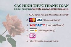 Hướng dẫn thanh toán khi mua hàng trực tuyến tại hệ thống Website của Hoa Thơm Cỏ Lạ
