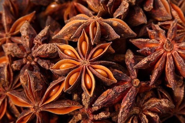 Tinh Dầu Hồi (Đại Hồi)- Anise Star Essential Oil