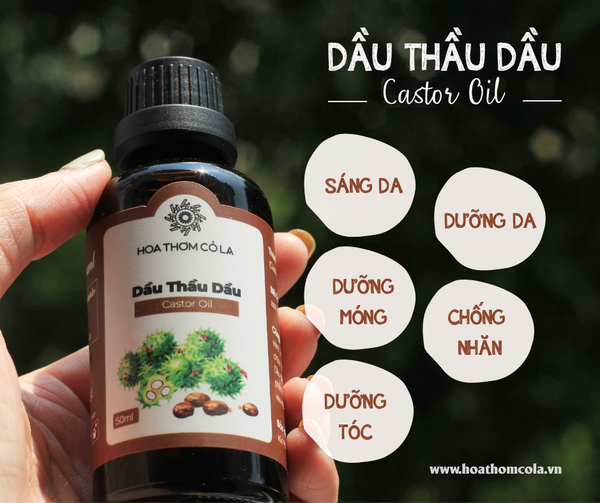 Dầu Thầu Dầu - Castor Oil - Hoa Thơm Cỏ Lạ