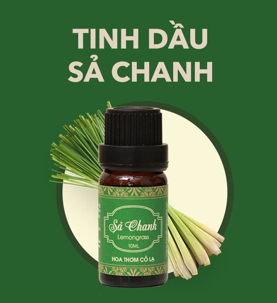 tinh dầu Sả Chanh - Hoa Thơm Cỏ Lạ 