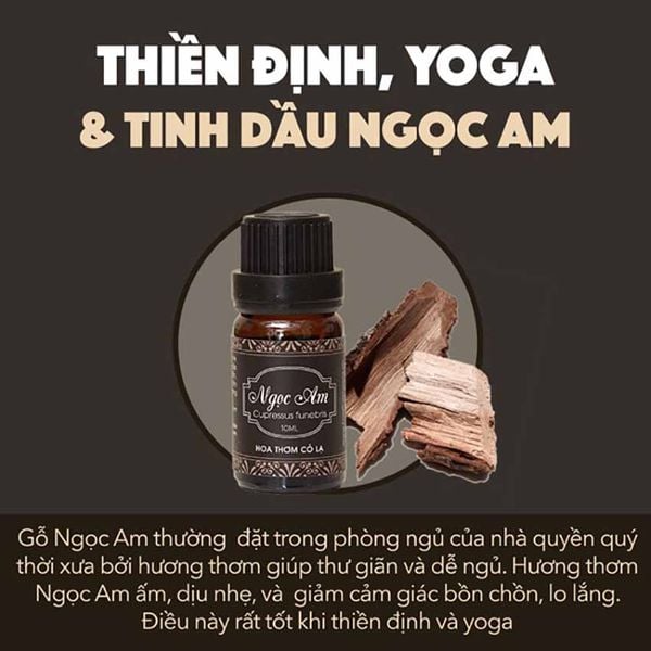 Những Loại Tinh Dầu đặc biệt được chiết xuất từ Gỗ quý hiếm