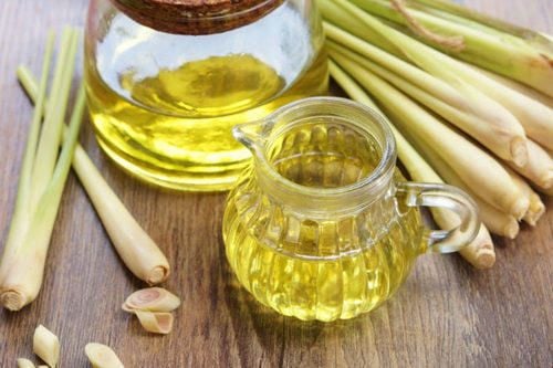 Tinh Dầu Sả Chanh - Lemongrass Essential Oil - Hoa Thơm Cỏ Lạ