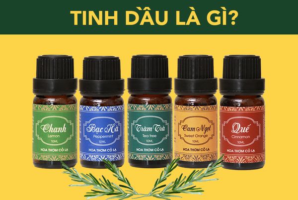 Tinh dầu là gì? Tinh dầu có tác dụng gì đối với sức khỏe và làm đẹp?