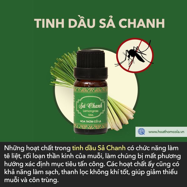 Hình ảnh sản phẩm