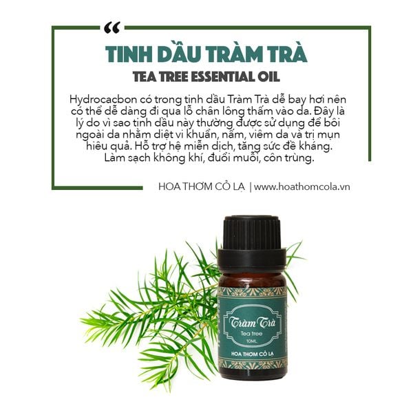 Tinh Dầu Tràm Trà - Tea Tree Essential Oil