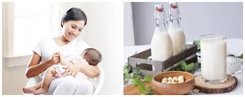 Mẹ đang cho con bú nên uống thêm sữa gì cho bé hấp thụ tốt