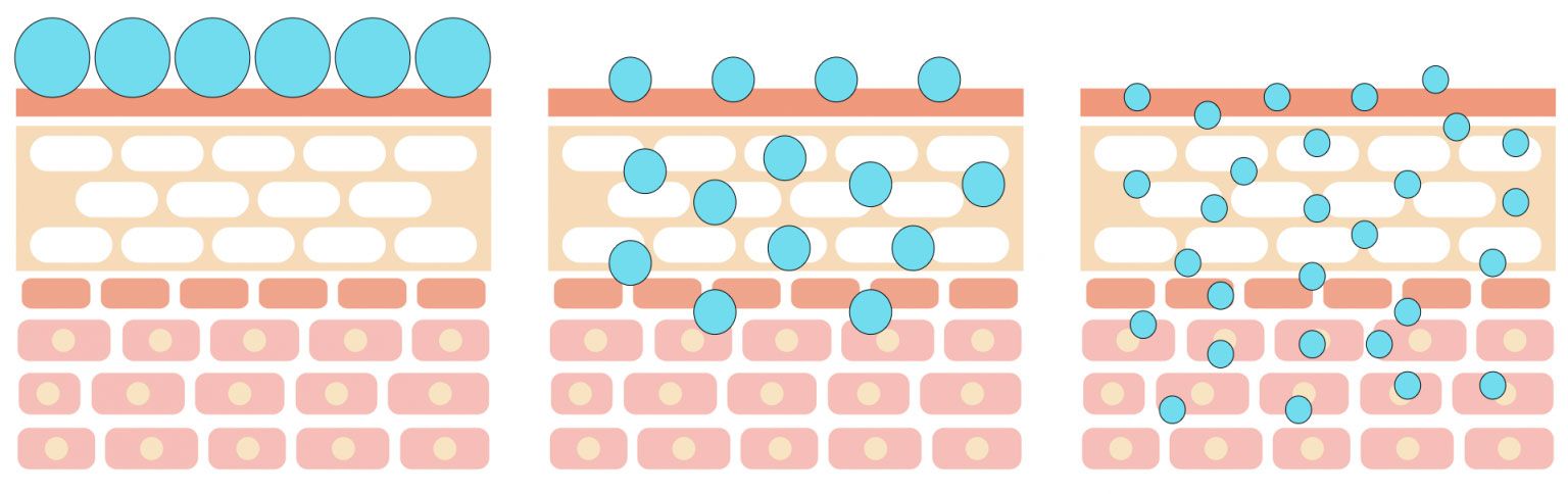Mức độ thâm nhập vào da của các kích cỡ phân tử khác nhau (Từ trái qua: Kích thước lớn, kích thước vừa, kích thước nhỏ)