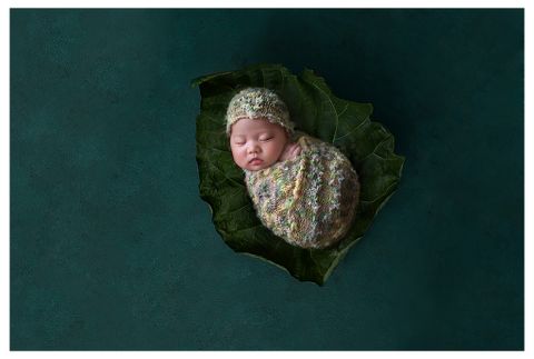 20 Background Đỉnh Cao Dành Cho Newborn Photographer