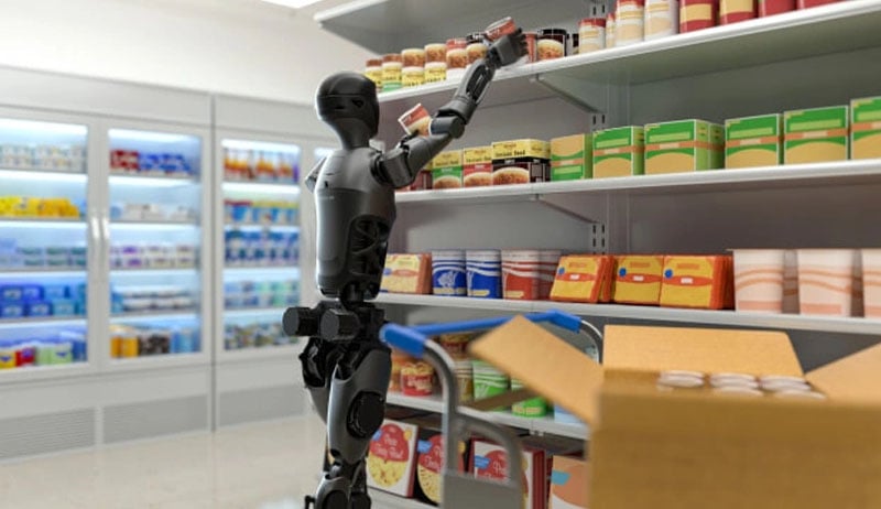 Robot hình người Pudu D9