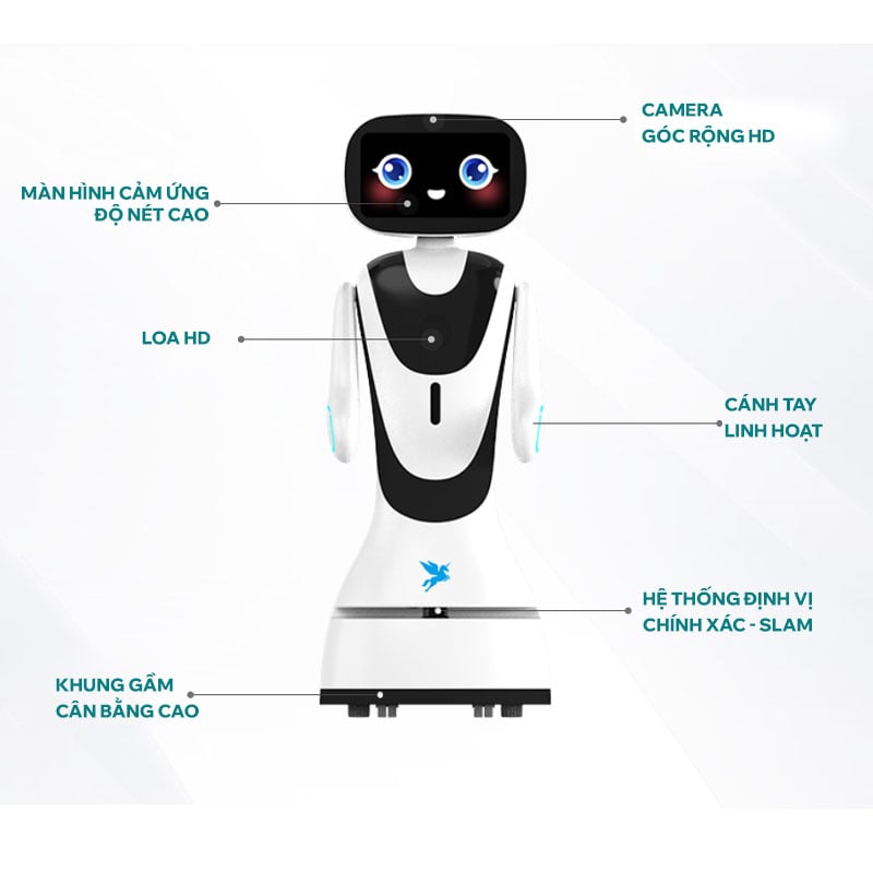 Robot tiếp tân AI Timo, Robot tiếp tân cho nhà hàng ,khách sạn, bệnh viện - tích hợp AI