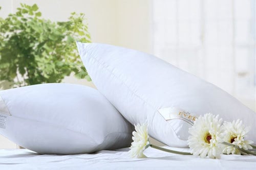 Vệ sinh gối tựa lưng đúng cách
