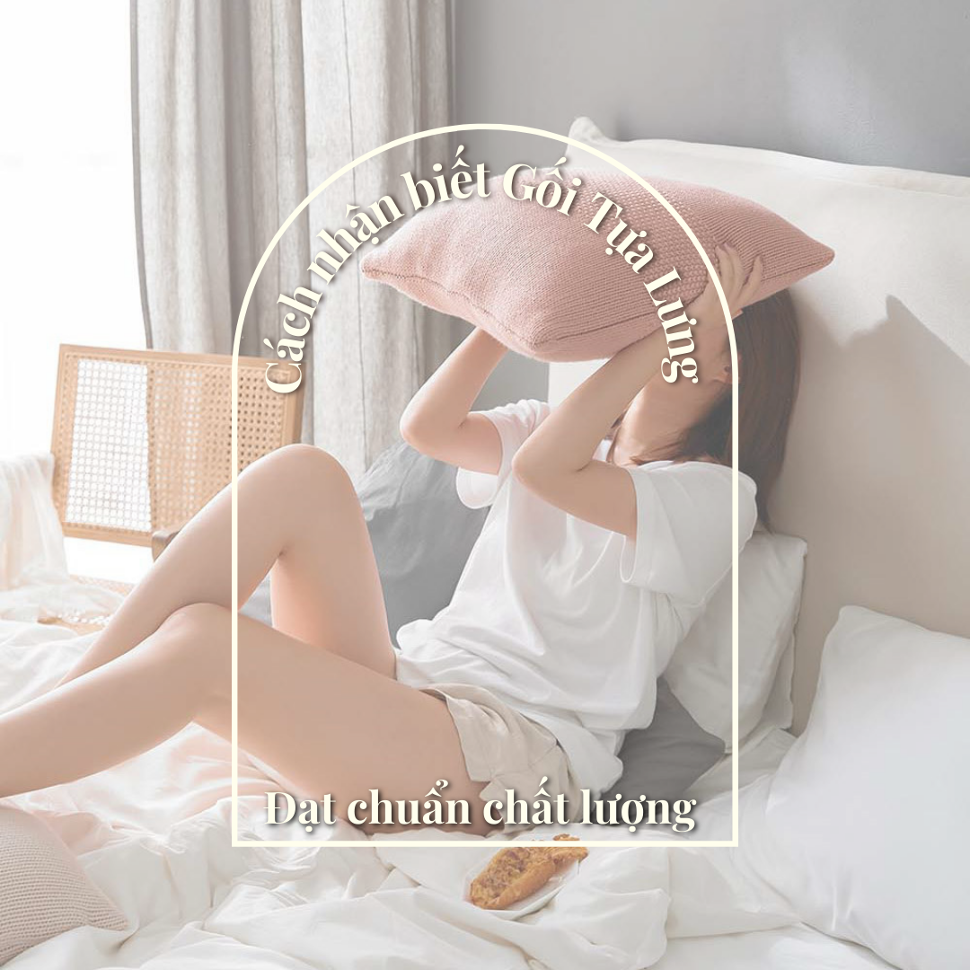 Bạn đã biết cách nhận biết Gối Tựa Lưng chất lượng chưa?