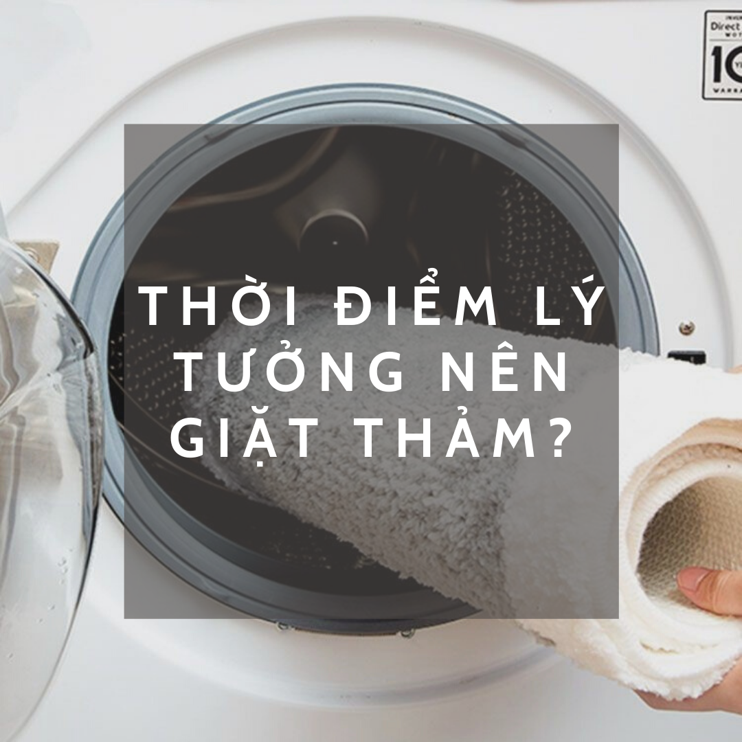 Đâu là thời điểm lý tưởng nên giặt Thảm?