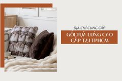 Địa chỉ cung cấp gối tựa lưng cao cấp tại TP.HCM