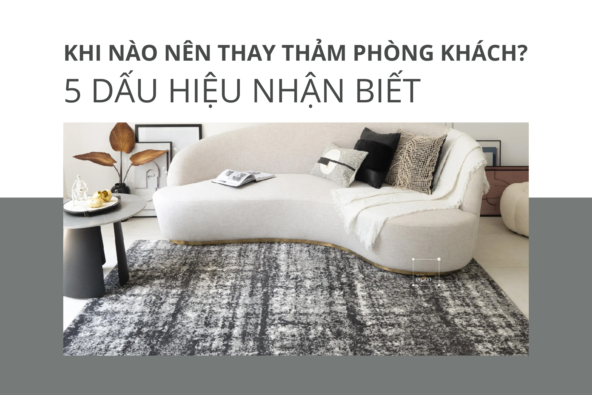 Khi nào nên thay thảm phòng khách? 5 dấu hiệu nhận biết