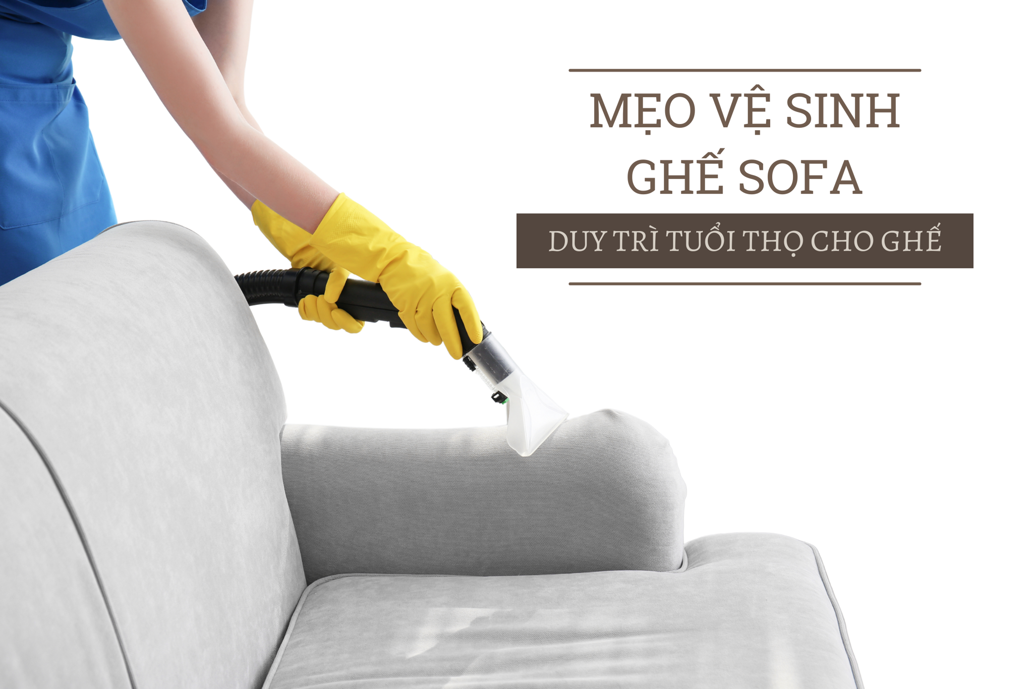Mẹo vệ sinh ghế sofa đúng cách duy trì tuổi thọ cho ghế sofa