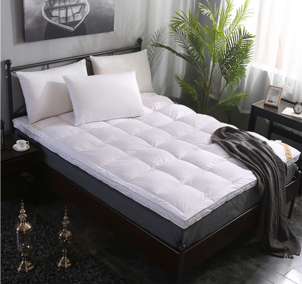 Tấm làm mềm nệm - Topper đệm 5 sao mua ở đâu