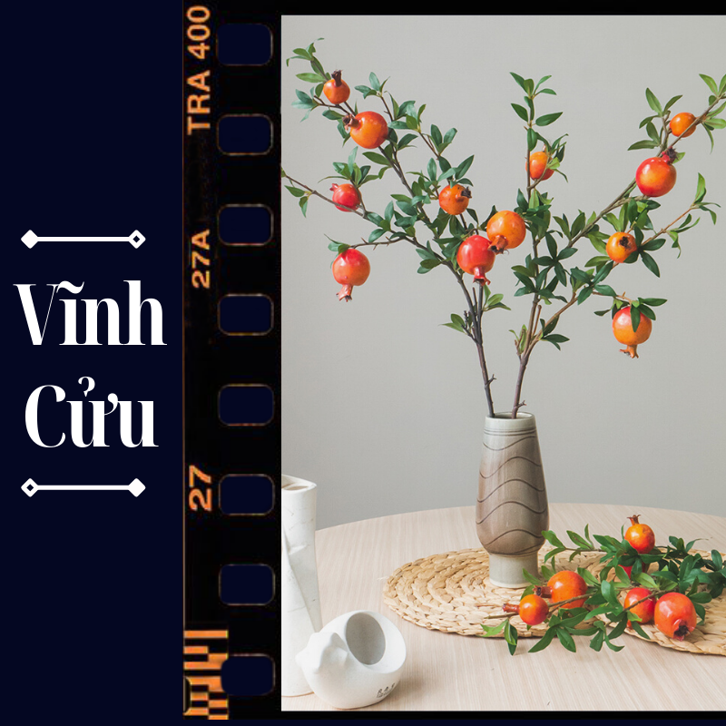 Vĩnh Cửu Collection - Bộ Sưu Tập mang đầy nét tươi tắn