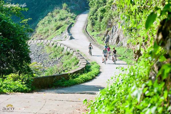 10 địa điểm tuyệt vời nhất để du lịch bằng xe đạp tại Việt Nam
