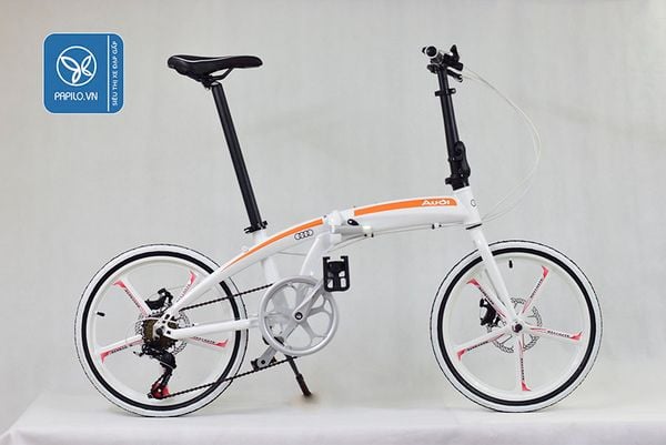 xe dap gap audi trang cam