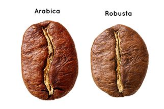 Robusta & Arabica: Từ khác biệt đến hoà quyện hoàn hảo…