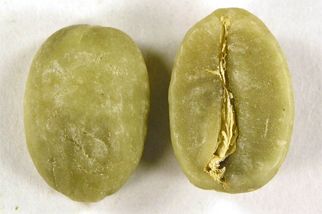 Làm thế nào để giữ chất lượng cà phê nhân sau khi qua sơ chế?