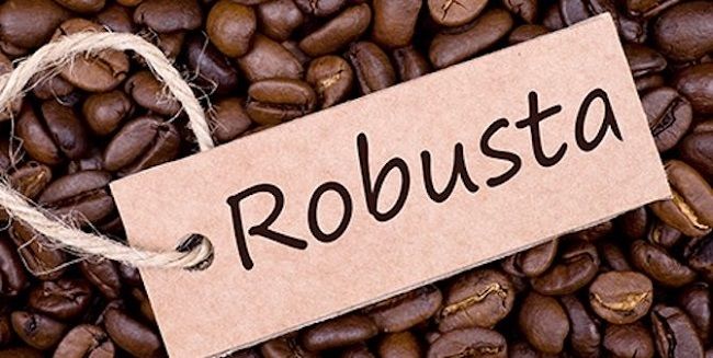 3 điều cần hết sức lưu ý khi bảo quản cà phê rang Robusta