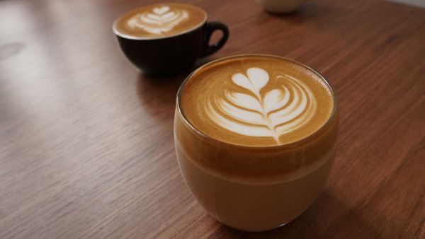 Kỹ Thuật Đánh Sữa (Steaming Milk)