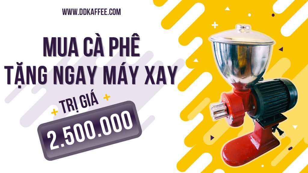 MUA CÀ PHÊ SẠCH TẶNG MÁY XAY TRỊ GIÁ 2.500.000 VNĐ