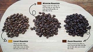 Các Mức Độ Rang Cà Phê Cho Bạn Biết Điều Gì?