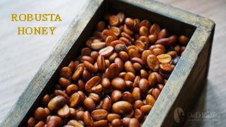 Khi Chàng Robusta Mạnh Mẽ Khoác Lên Chiếc Áo Ngọt Ngào