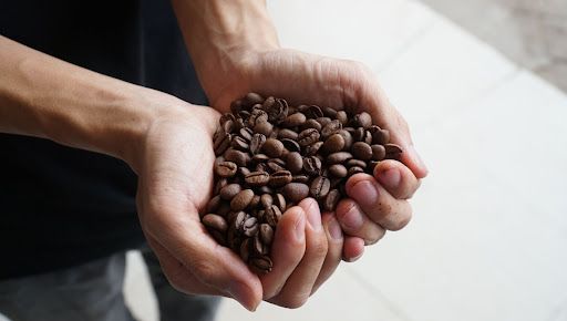 Cà phê Moka là gì? Tại sao gọi là cafe NỮ HOÀNG - DDKAFFEE