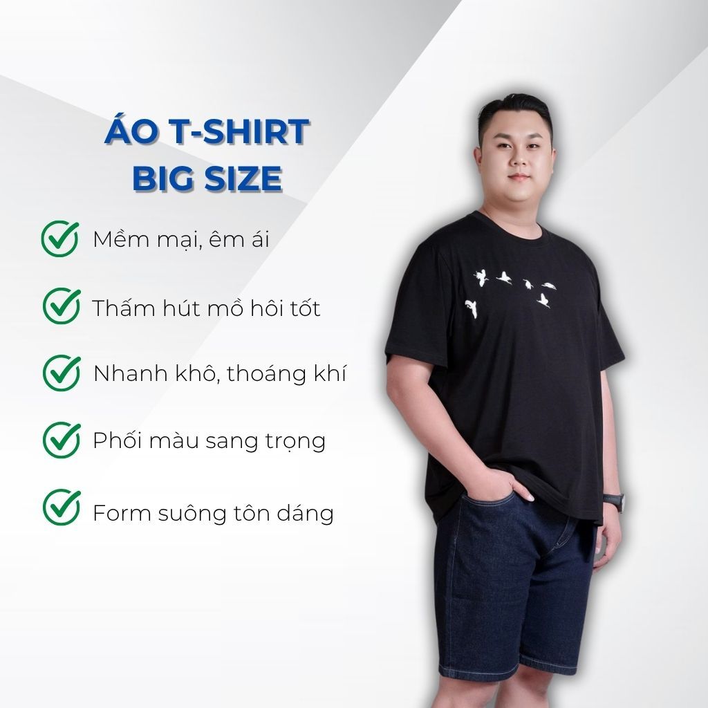 Mô tả chi tiết áo thun đen d6 big size nam Akyoo