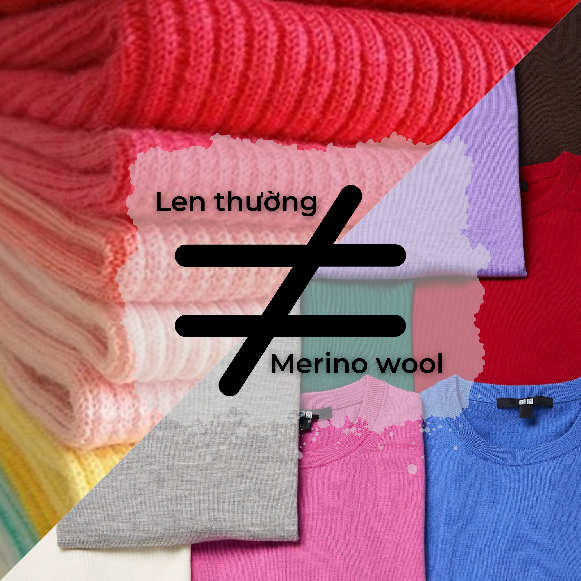 Merino là gì? Phân biệt len thường và len Merino Wood?