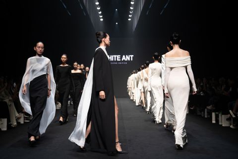 WHITE ANT X BÁO THANH NIÊN