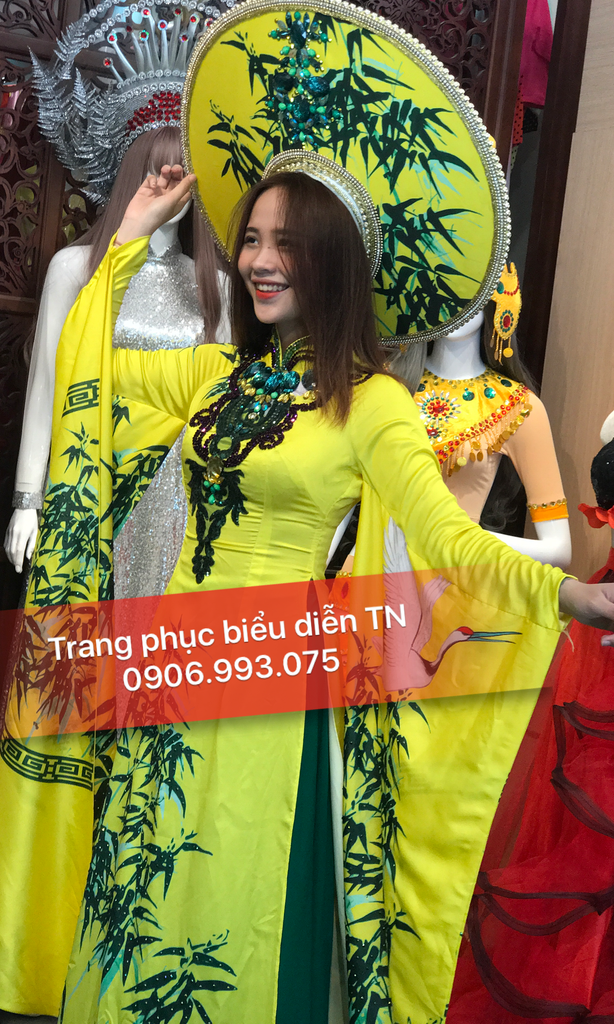 Áo Dài Dự Sự Kiện