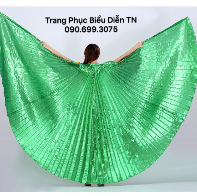 Thuê Cánh Chim Múa Ở Đâu TPHCm