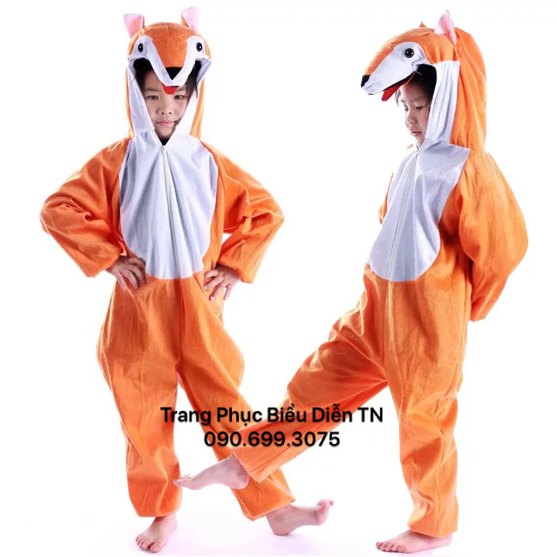 Thú Hở Mặt Cáo Cam