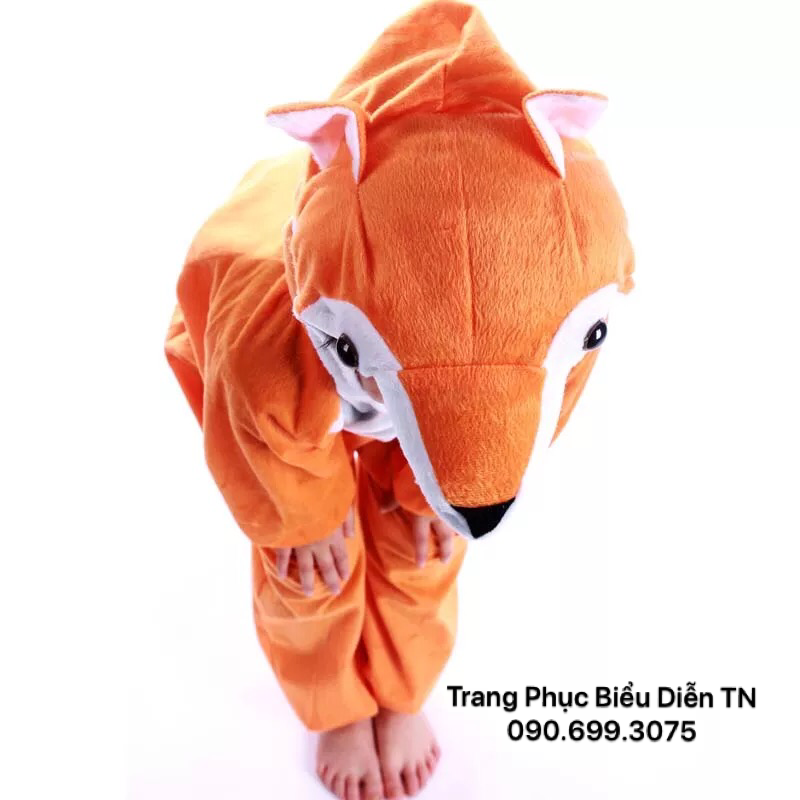 Thú Hở Mặt Cáo Cam