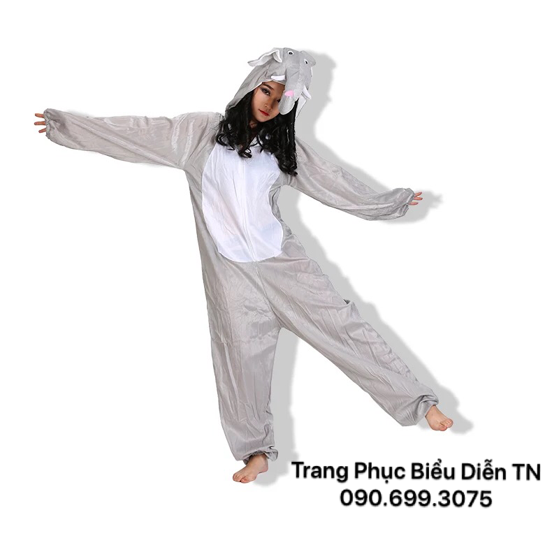 Thú Hở Mặt Voi Xám