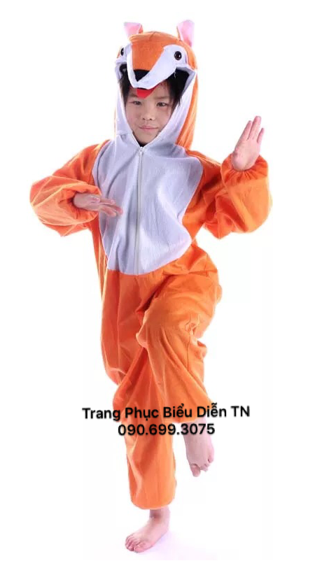 Thú Hở Mặt Cáo Cam